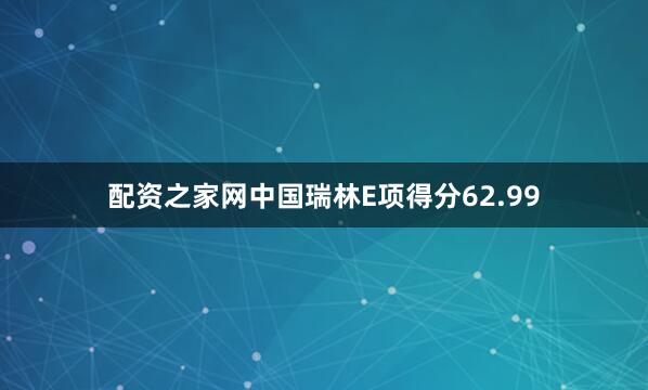 配资之家网中国瑞林E项得分62.99